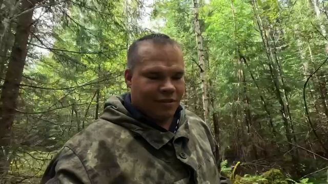 ДЕТСКИЕ ЛЕСНЫЕ ИСТОРИИ | ДИАЛОГ С ВОРОНОМ | ШОКОЛАДНЫЕ ПРЯНИКИ | РАДИАЦИЯ И ГРИБЫ