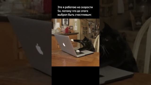 Я просто хотел быть счастливым