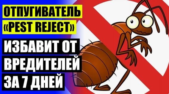 ОТПУГИВАТЕЛЬ ОТ ТАРАКАНОВ PEST REJECT ОТЗЫВЫ 💣 ОТПУГИВАТЕЛЬ УЛЬТРАЗВУКОВОЙ ТАРАКАНОВ