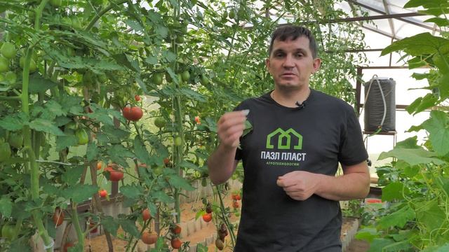 Кистедержатель "Гусеница", "Улитка"