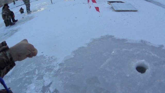 долгожданный первый лед.открылся по зимней рыбалке