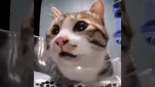 чтооо