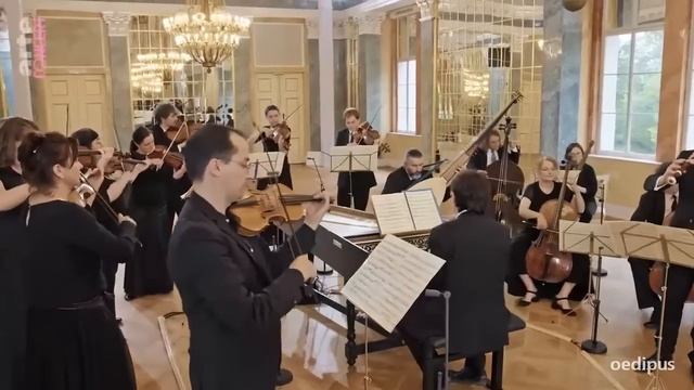 И.С.Бах - Бранденбургские концерты BWV 1046 - 1051 (Вацлав Лукс & Collegium 1704)