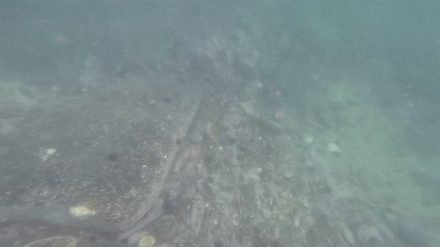 под водой в пасмурный день