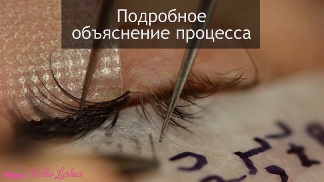 ЛПК (Lashmaker под ключ). Знакомство с курсом