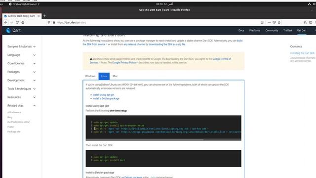 03 - Install Dart SDK on ubuntu