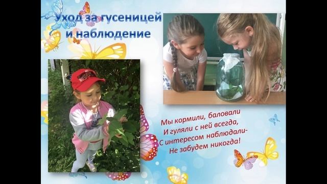 Виртуальная гайд-консультация "Домашний бабочкарий"