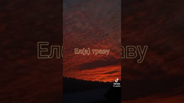 вау