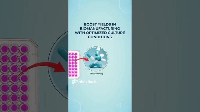 Did you know? Animal cell cultures are crucial for drug screening. #kosheeka #primarycell