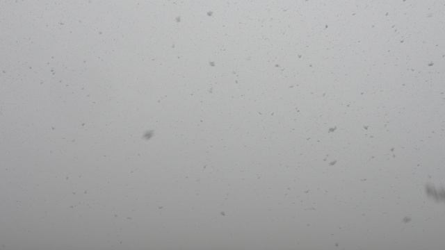 Первый снег этой осенью