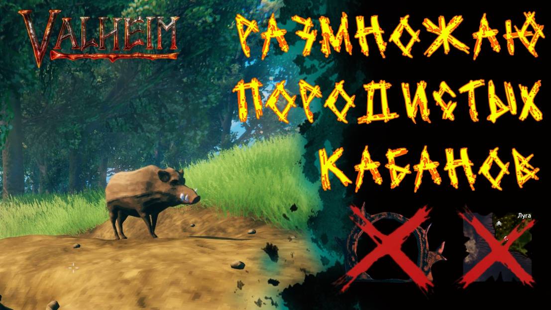 Valheim №44. Размножаю породистых кабанов.