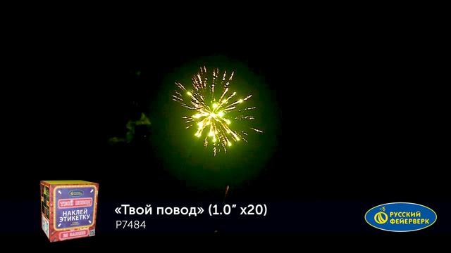 Р7484 ТВОЙ ПОВОД