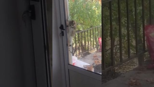 Групповая кото- кража со взломом😻