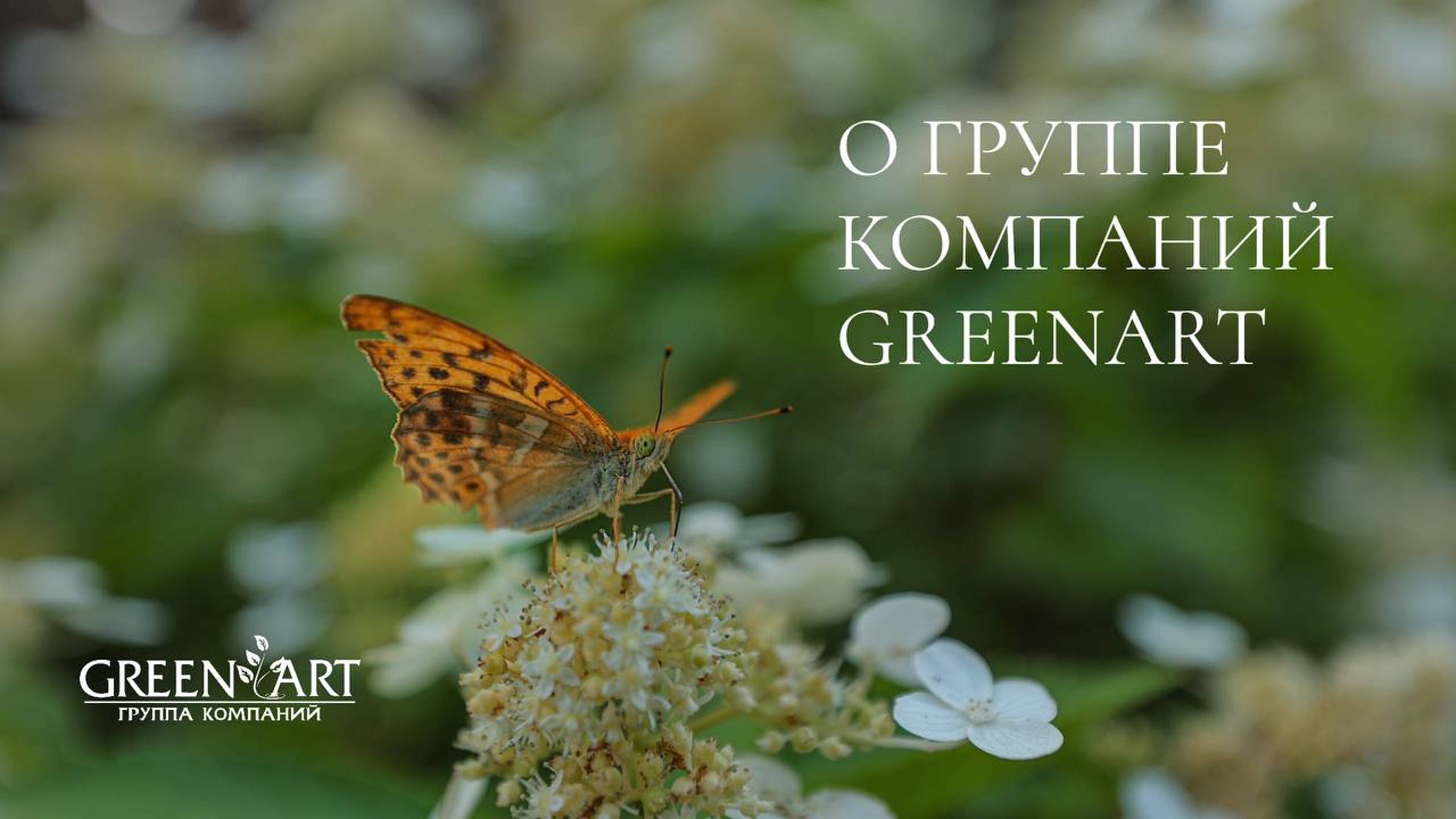 Группа компаний GreenArt: 16 лет создания красоты в ваших садах