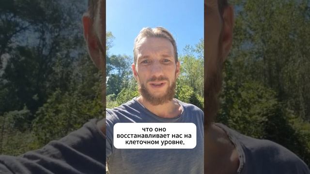 Загадка от профессора Метёлкина! 🔍