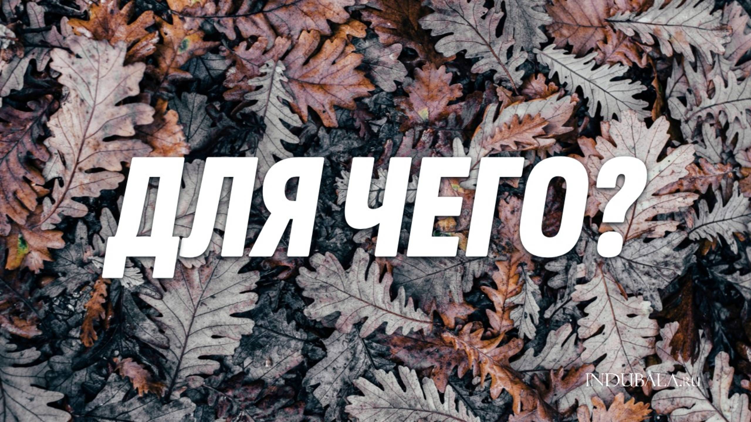 ДЛЯ ЧЕГО? #indubala #астрология #джйотиш #вдохновение #пушкин
