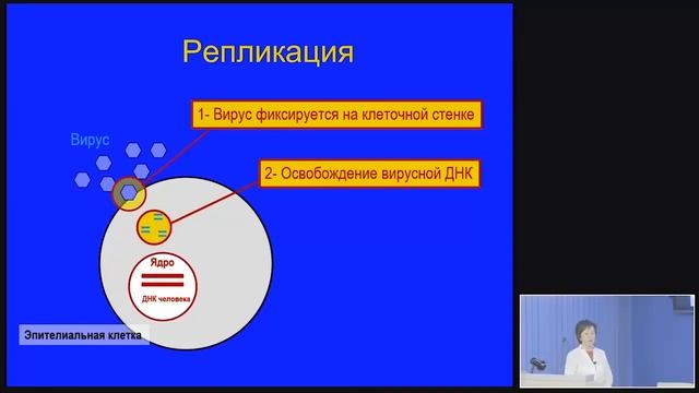 Кератиты. Герпетические. Часть2