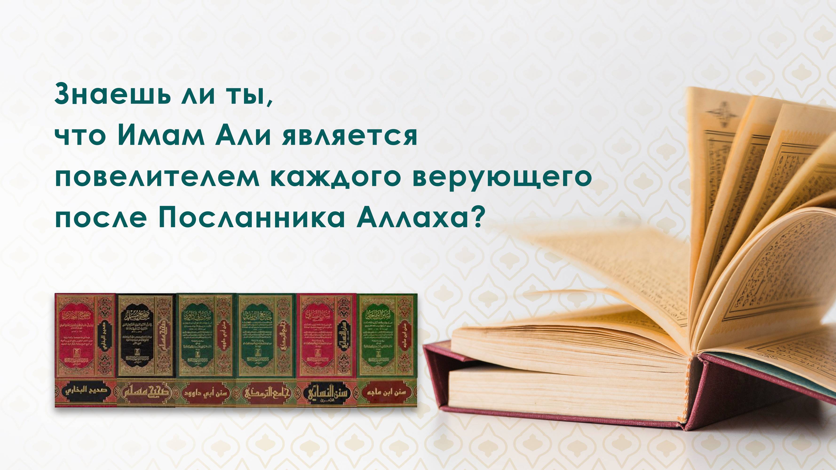 Али (да будет мир над ним) является повелителем каждого верующего после Посланника Аллаха
