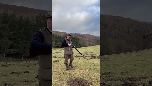 Driven Shooting Scotland Labrador Retriever Gundog Pegdog Shotgun.