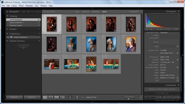 Light room - Быстрый старт. Урок №4. Работа в модуле Library. (Евгений Карташов)