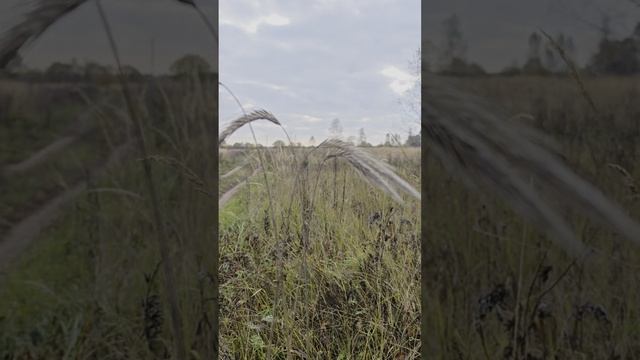 Под Октябрьским небосводом.