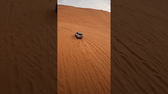 Desert Drive