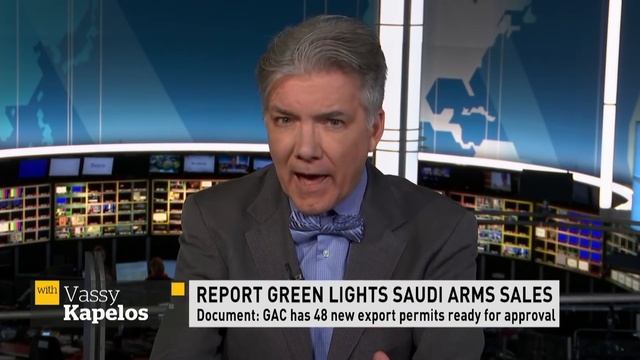 Fight against Saudi arms deal will continue until I win, says advocate | Power & Politics