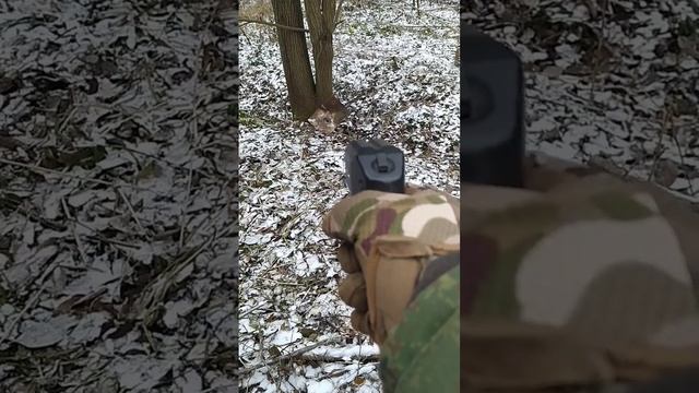 пистолет оса пб4-1мл #оружие