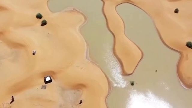 1000039105.mp4