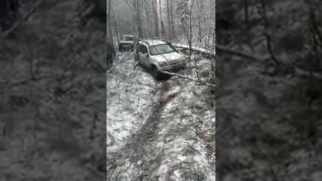 ШНива ловит диагоналку