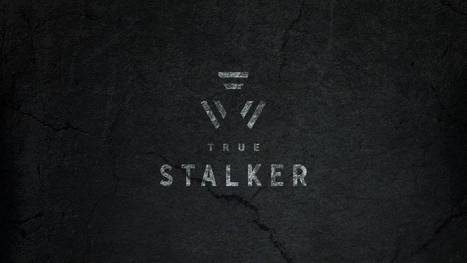 Финал True STALKER - две концовки и небольшой отзыв об игре #stalker #truestalker #концовка