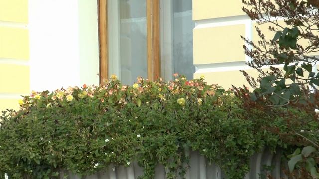 Золотая осень в Павловске