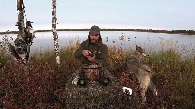 Видео обзор динамика Альфа wifi Hunterhelp