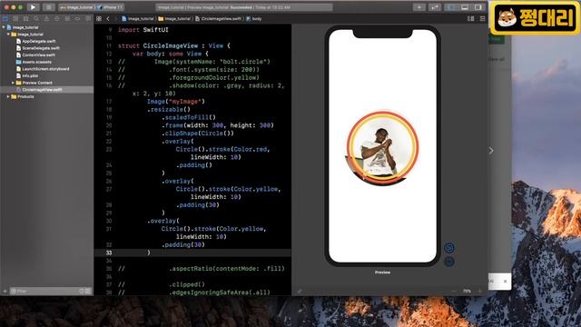 취준생을 위한 스위프트UI 앱만들기 강좌 이미지 - SwiftUI fundamental Tutorial (2020) - How to set Image in SwiftUI