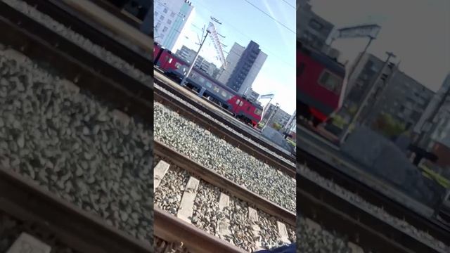Новосибирск