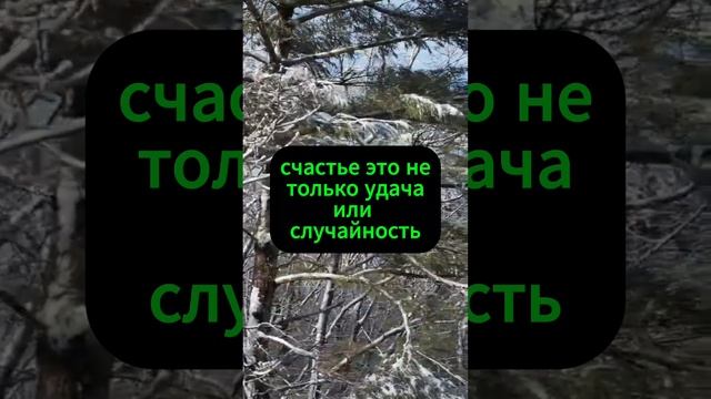 Счатье позитивное, мотевирующие видео