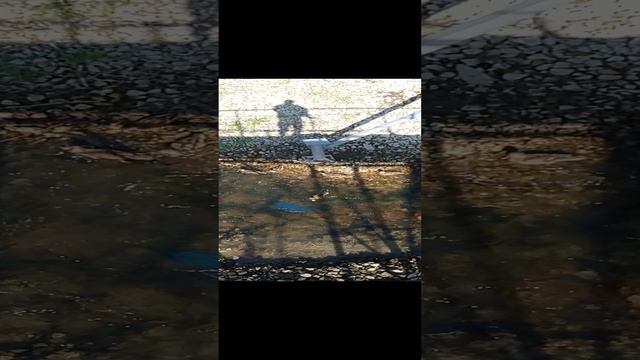 Пойдём догонять уток