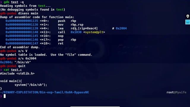 Bypassing NX and doing ret2libc | Tamil |  ROP | 0X0A