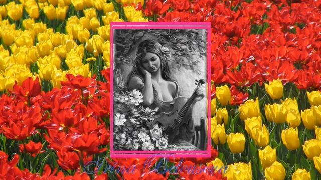 ВОЛШЕБНАЯ  РАМКА