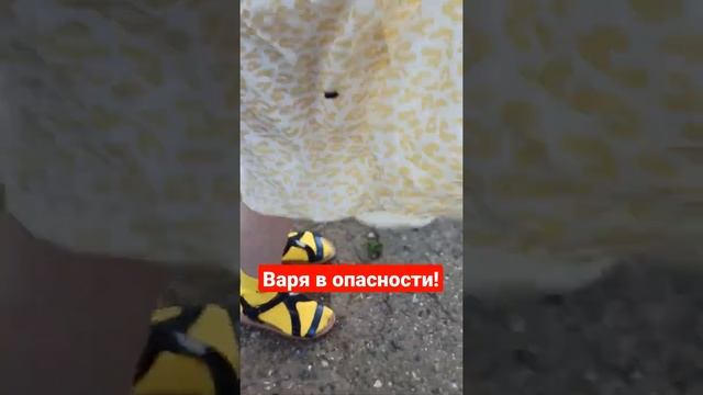 Опасный жук? (16.06.2021)