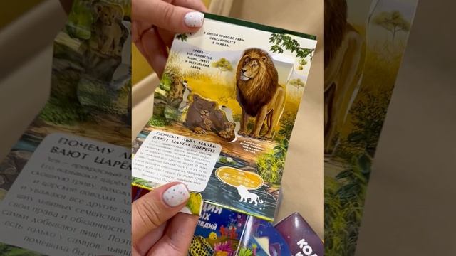Набор книг Pop up подарочный Malamalama энциклопедии для детей