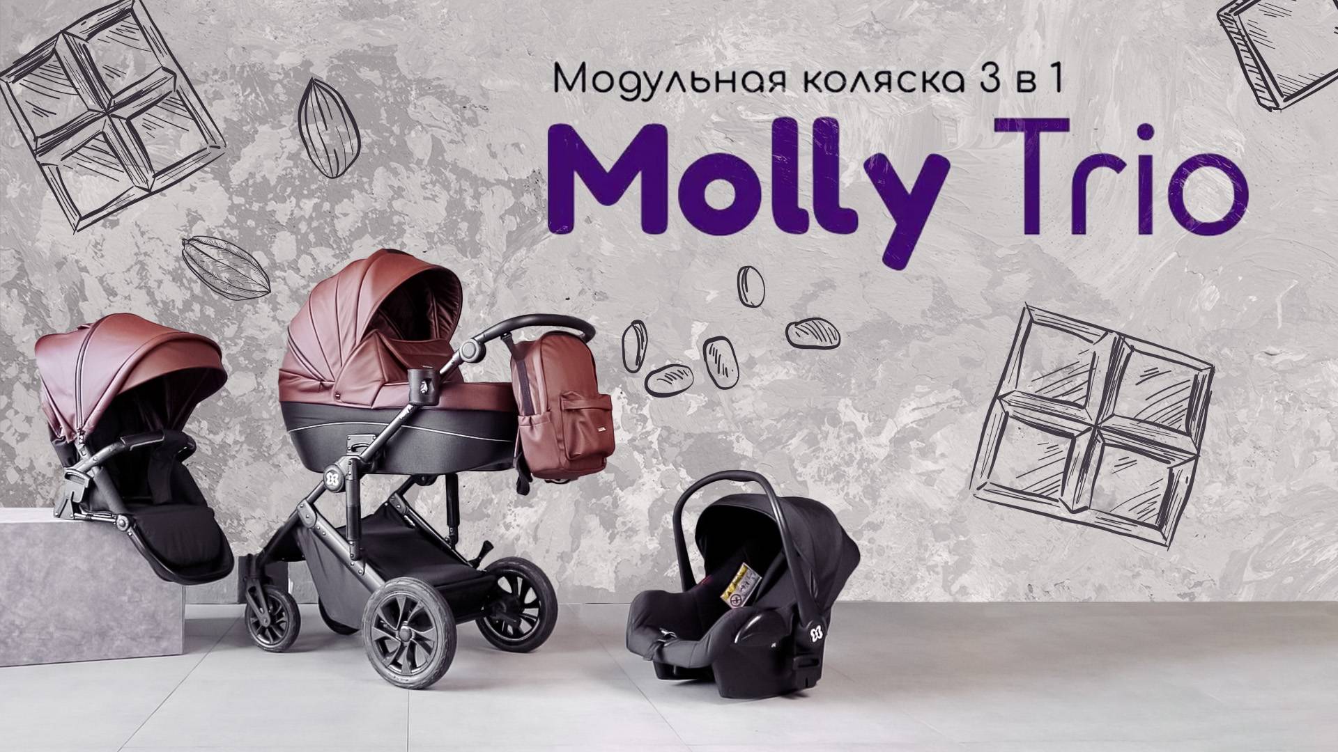 Модульная коляска 3в1 Molly Trio