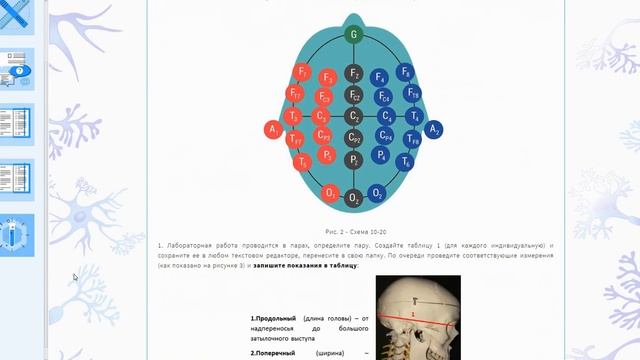 Описание курс "Юный Нейрофизиолог-инженер"