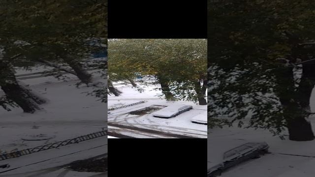 первый снег и обявление