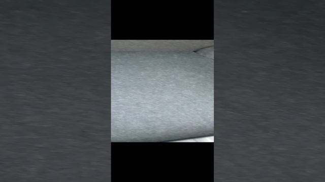 VID_20241011_164759.mp4