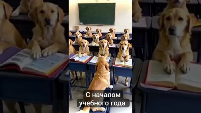 с 1 сентября