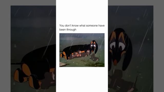 Трогательное видео