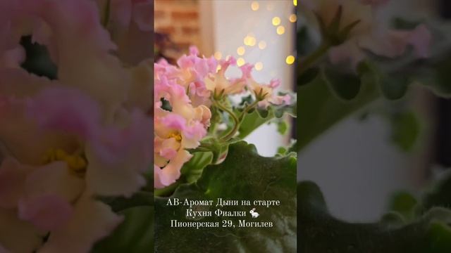 Абсолютная осень с АВ-Аромат Дыни на старте и контрастным АВ-Гром и Молнии.