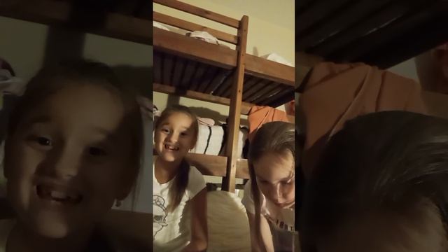 наш первый влог ( little cat's