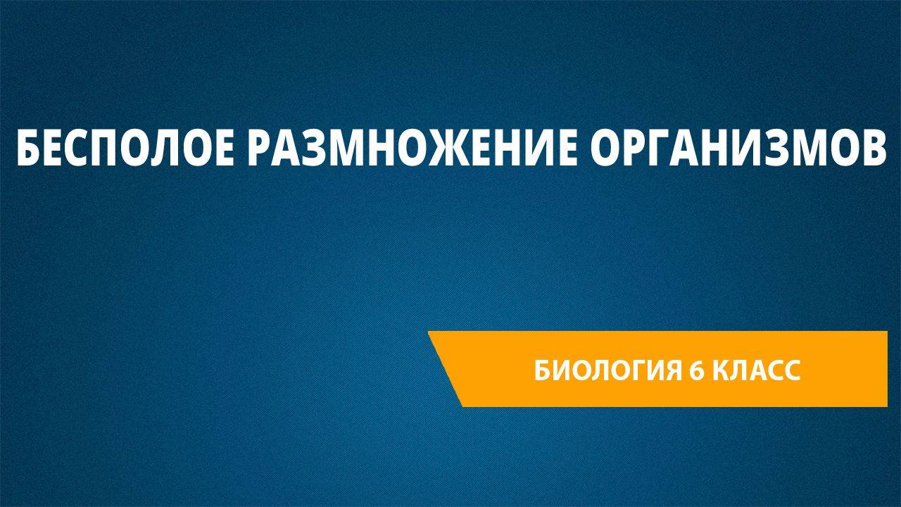 Урок 24. Бесполое размножение организмов